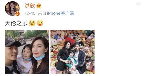 港媒爆料洪欣视频,港媒曝洪欣视频引发热议  第3张