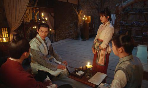 学姐爆料小故事视频播放,那些爆笑视频背后的故事